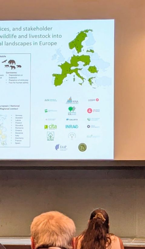 Daniel Martín Collado at the EAAP Annual Meeting