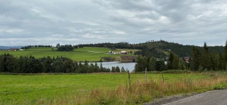 A lake surrounded by pastures, coniferous trees and forest patches, as well as human settlements. 