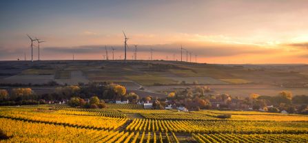 A heterogeneous agricultural landscape.
