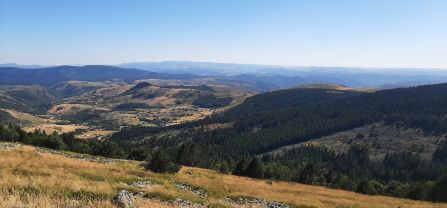 The Mont Loz&egrave;re landscape is a plateau characterised by a wide variety of habitats, but above all it is an extensive grazing area to which flocks of sheep and cattle migrate.