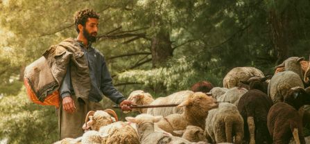A shepherd and his sheep in a forest. 