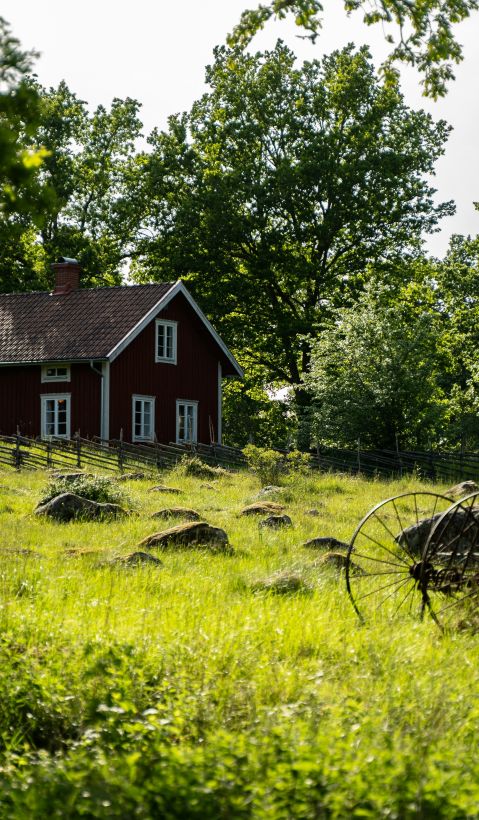 A red cottage in a beautiful green landscape. 