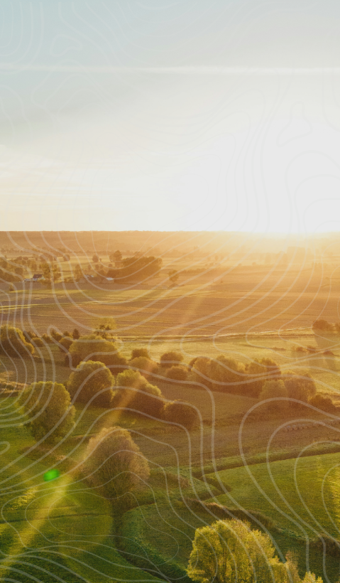 a landscape in the afternoon