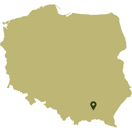 A map of Poland showing the case study area in the southeastern part of the country.