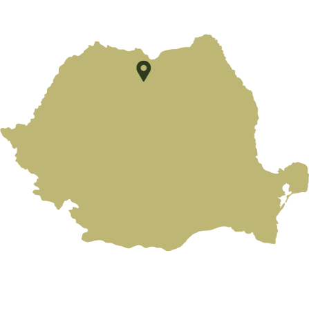A Map of Romania showing the study area in the north of the country. 