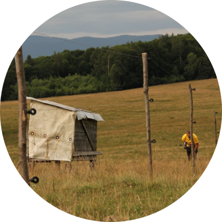 A traditional &bdquo;coliba&ldquo; (sleeping box for the night) and a new installed electric fence in Harghita..