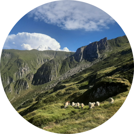 Mountainous landscape of one of the approximately twenty summer pastures in the Couserans. A small flock of sheep is seen on a mountain pasture. 