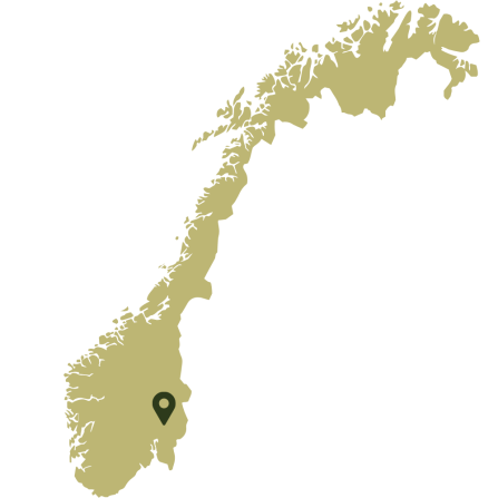A map of Norway showing Akershus in the south. 