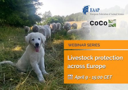A banner of the the EAAP and CoCo webinar "Livestock protection across Europe"
