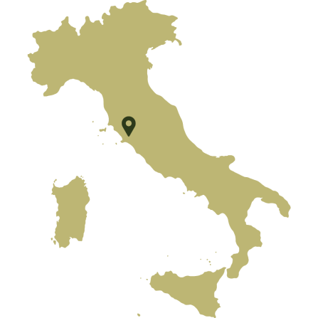A map of Italy showing the location of Grosetto in the west.