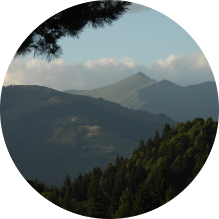 Beautiful forested mountains of the study area. 