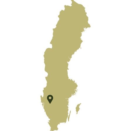 A map of Sweden showing the case study area location in the south-western part of the country. 