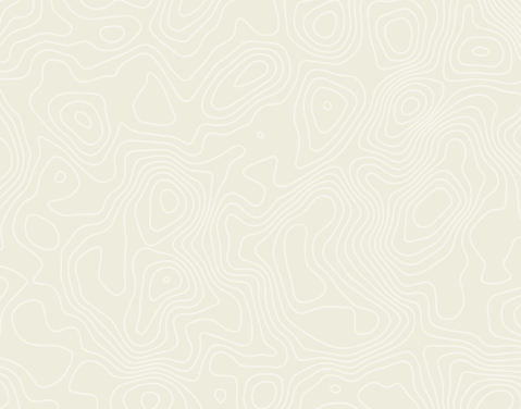 White topographic lines on a green background.