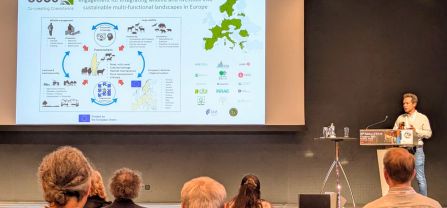 Daniel Martín Collado at the EAAP Annual Meeting