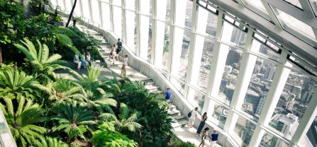 Green Garden in skyscraper