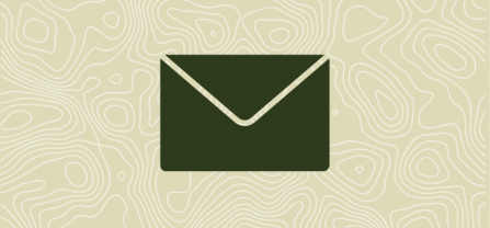 An icon that represents a letter. Newsletter is written below the icon. 