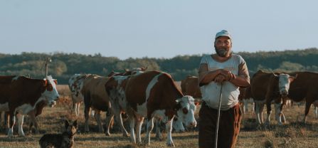 A pastoralist is standing in front a group of cows and his dog. 