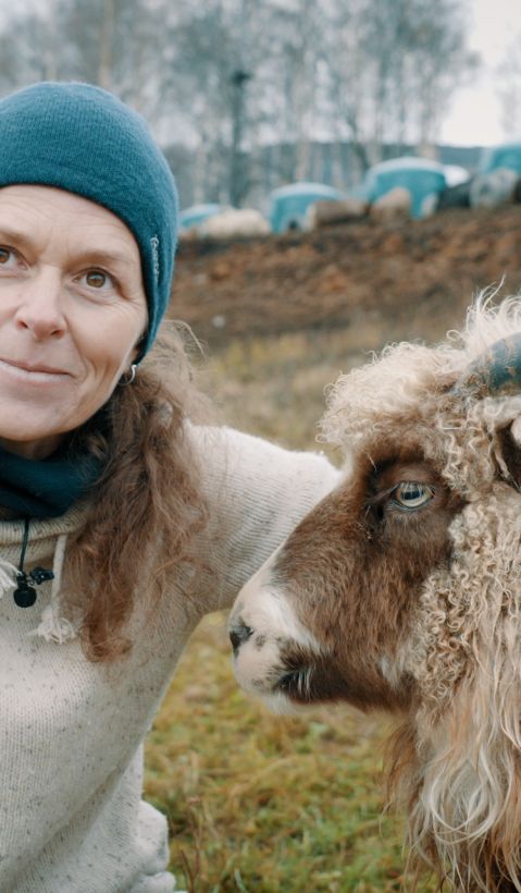 Shepherdess with a sheep. 