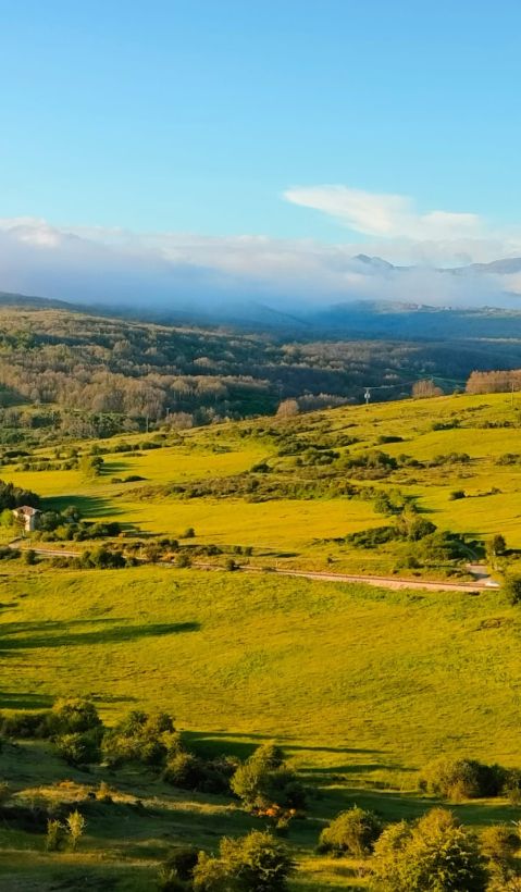 Landscape of Montaña Palentina study area within the Cantabrian Mountains, an emblematic mountain grazing area that supports pastoral livestock systems and rich biodiversity.