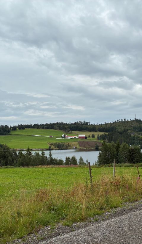 A lake surrounded by pastures, coniferous trees and forest patches, as well as human settlements. 