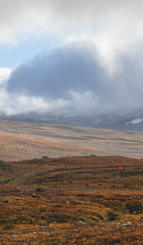 A photo of the landscape of J&auml;mtland with mountains in the background. 