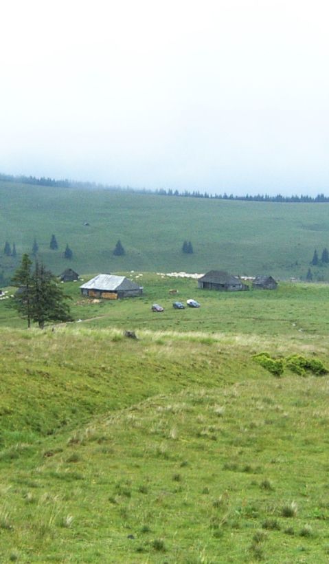 A traditional sheep farm in Cindrel.