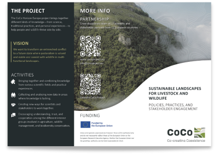 A preview of the CoCo General Information Flyer. 