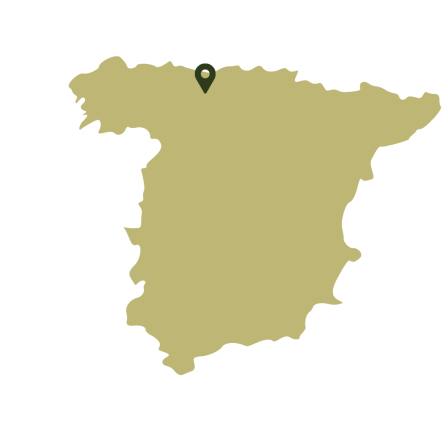 A map of Spain showing the location of Picos de Europa in the North of the country. 