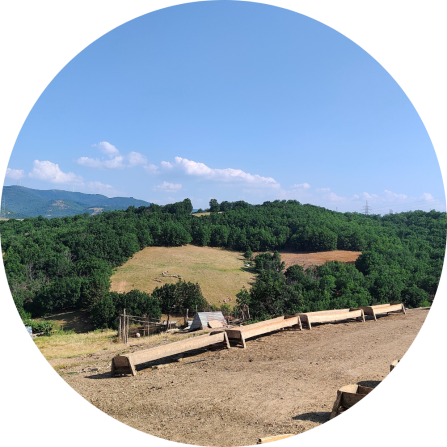Traditional feeding station of a goat farm in the Municipality of Arriana. In the background, the characteristic landscape of Eastern Rhodope unfolds, with its mosaic of oak forests, cultivated fields, and rugged mountain ranges (June 2025; Photo credit: Evangelos Theodosiadis).