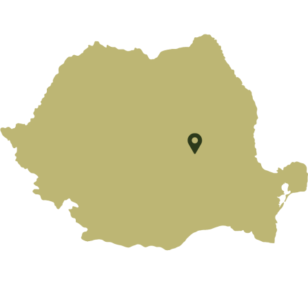 A map of Romania showing the study area in the central-eastern part of the country.
