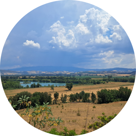 The varied  landscape in the Maremma area. The variation makes it difficult to implement preventive measures such as mobile electric fences.
