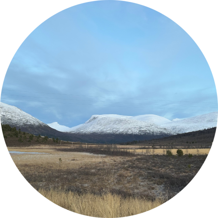 A beautiful snowy mountain in front of a varied landscape. 