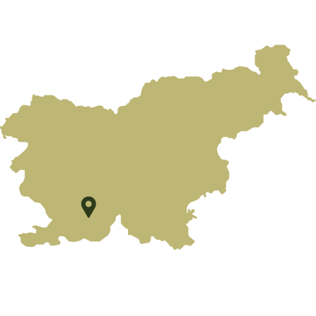 A map of Slovenia showing the case study area in the South. 