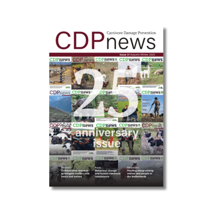 Cover page of the CDPnews Issue 31 Autumn-Winter 2025.