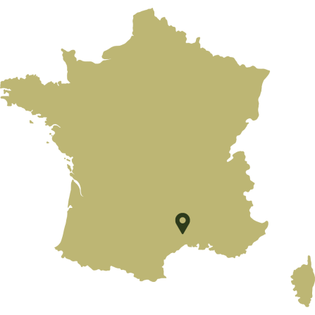 A map showing the case study area in the south-east.