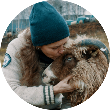 A female farmer in Nord-Gundbrandsdalen kissing one of her sheep on the forehead. 