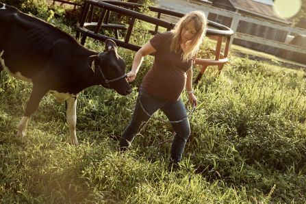 Pregnant woman guiding a calf. 
