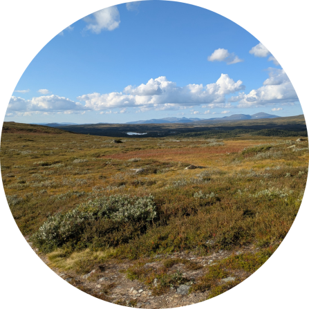 A beautiful landscape of J&auml;mtland. 
