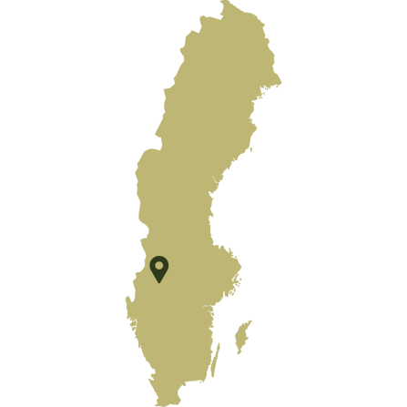 A map of Sweden showing the case study area in the south-west. 