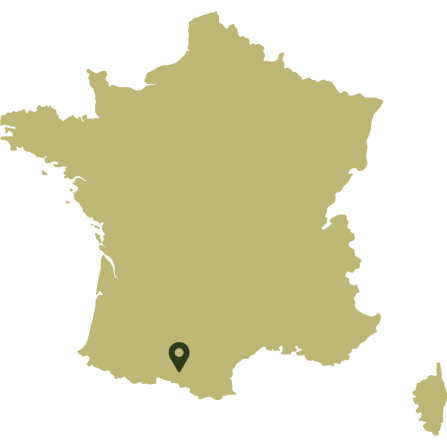 A map of France, showing the study area in the south. 