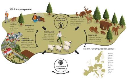 Showing a complex infographic of the CoCo framework