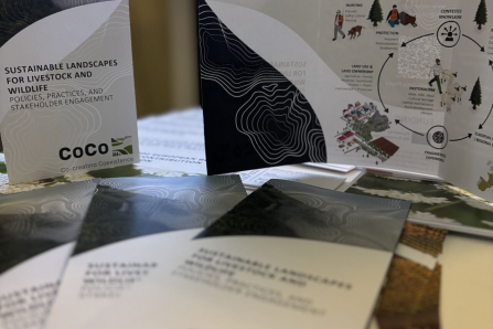 CoCo Flyer at the FA. 