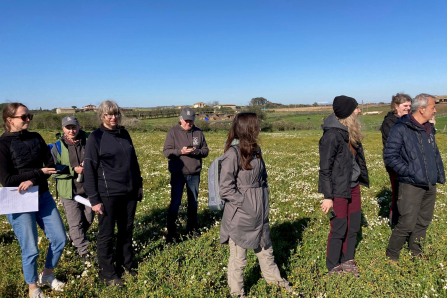 CoCo Team on a pasture. 