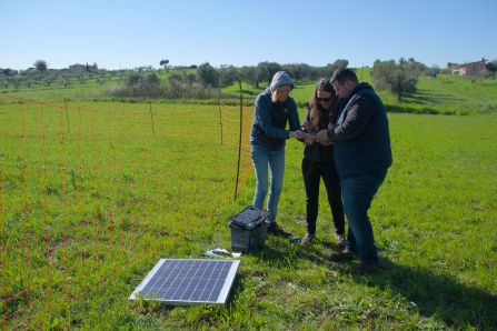 Three people on a pasture are testing electric fences. 