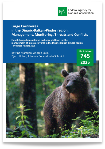 Cover page of the progress report Large Carnivores in the Dinaric-Balkan-Pindos region: Management, Monitoring, Threats and Conflicts. The cover shows a brown bear in a green forest.