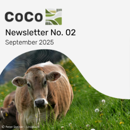 Cover for the third CoCo Newsletter.